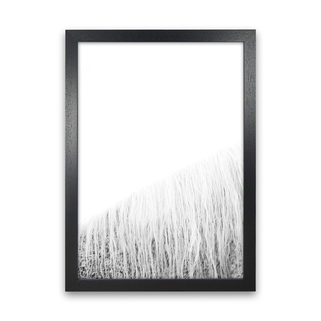 White Horse I by Victoria Frost - Photograph Print on Paper
