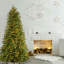The Holiday Aisle® Tiffany Fir Slim Tree with Clear Lights-477513481
