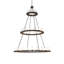 48 - Light Chandelier