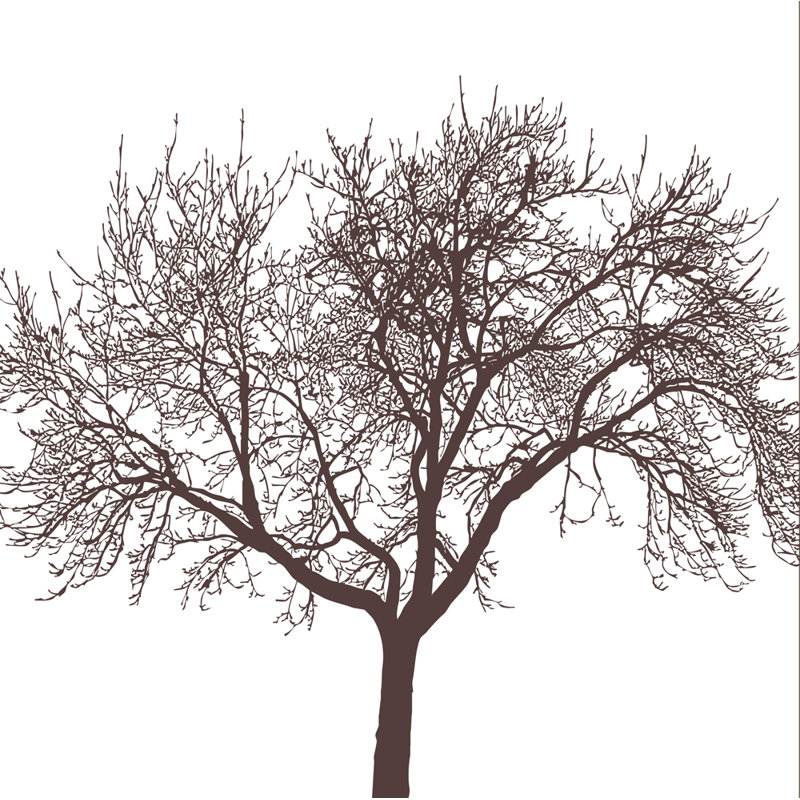 Doublure de rideau de douche en vinyle Tree Maspeth EVA 5G, Moka