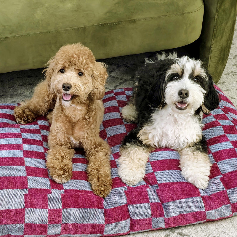 Mabel Designer Modern Ultra Soft Reversible Plush Rectangular Pet Bed with Washable Cover, Large (41" W x 25.5" D x 9.5" H)