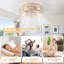 50cm Farmhouse Reversible Caged Ceiling Fan with Light Kit and Remote-1742983806