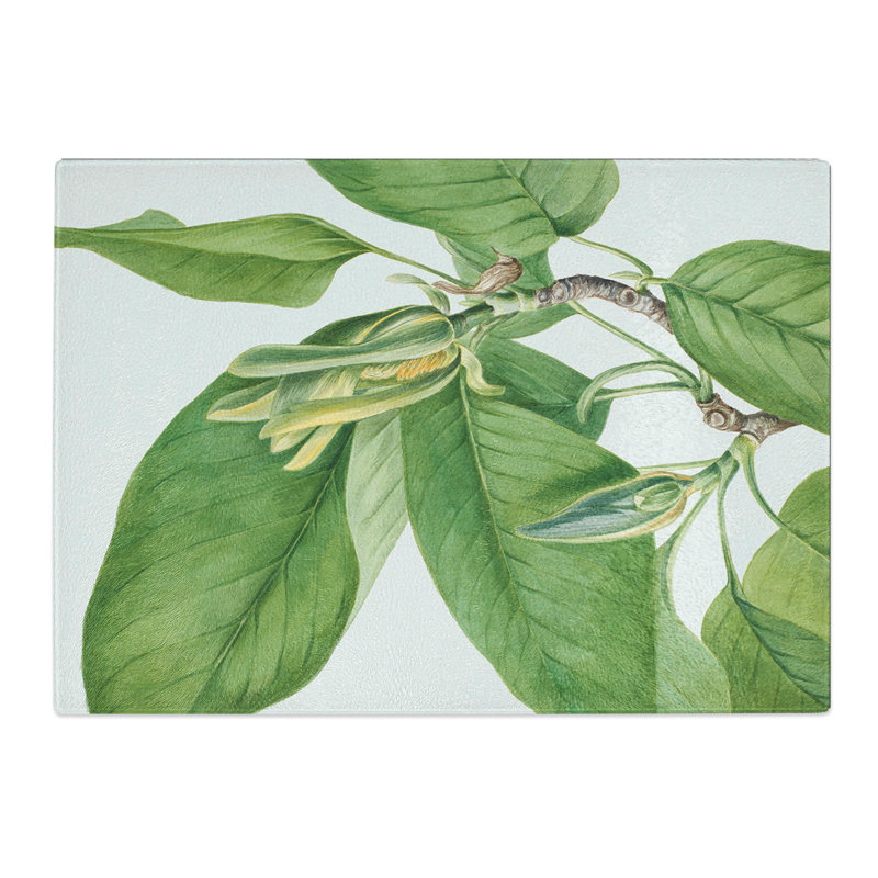 Cucumbertree by Mary Vaux Walcott Chopping Board, 28.5cm W x 39cm L