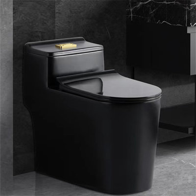 Dual-Flush Elongated One-Piece Toilet (Seat Included)