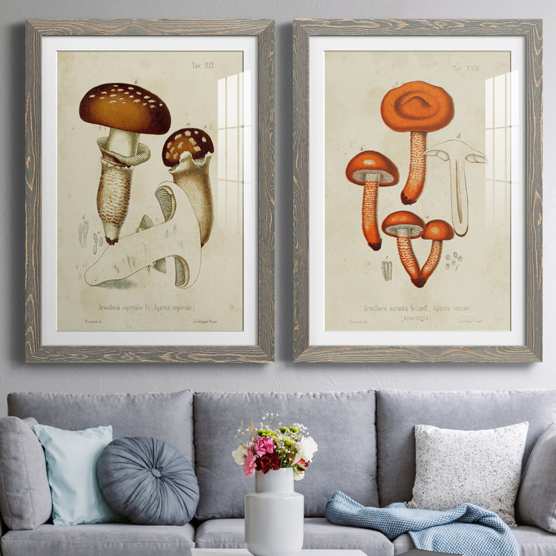 Cadre Mushroom Variétés III mat de qualité supérieure - prêt à être suspendu, Gris, H 43,5 po x l 31,5 po x P 1 po