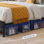 Upholstered Storage Bed-100042276-100140397