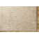 Bertus Machine Woven Polyester Area Rug in Beige