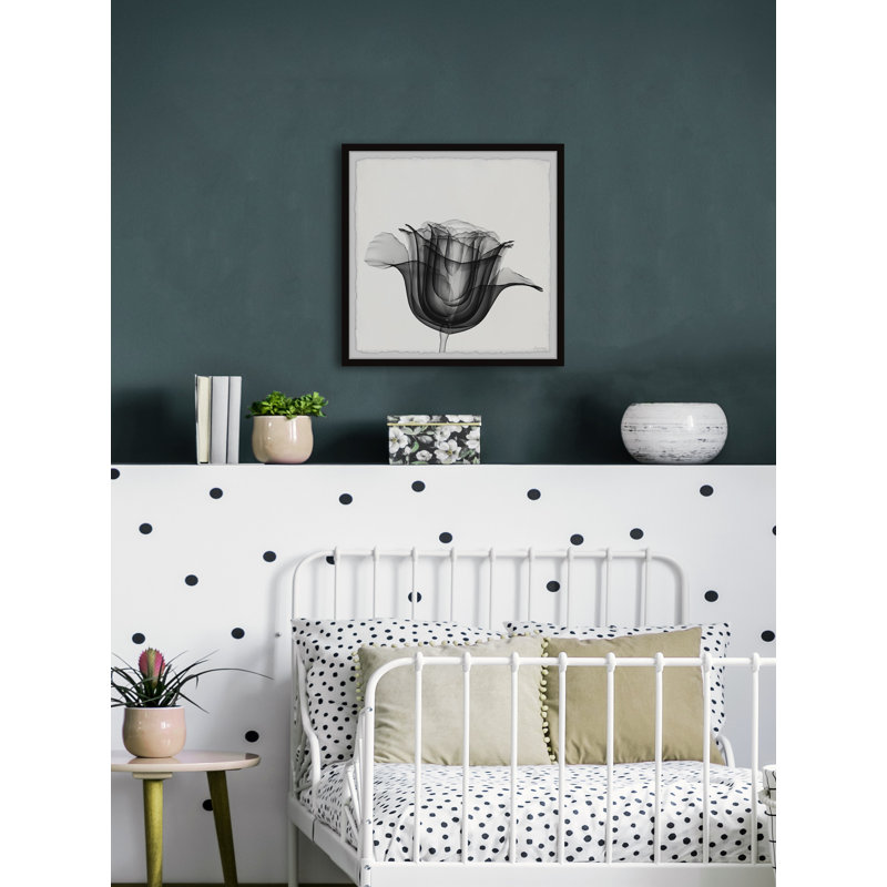 Vision Is Everything by Marmont Hill - Single Picture Frame Painting, 41cm H x 41cm W