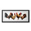 Impression de cadre photo sur papier-1127204128