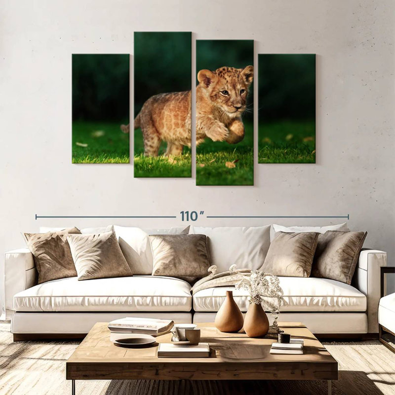 Chat sauvage Brampt