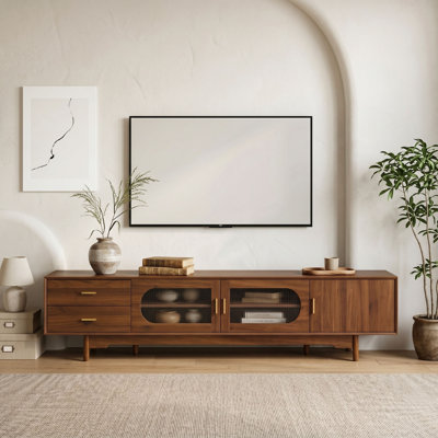 Wood TV Stand with Cabinet and 2 Drawers