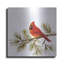 Luxe métal Art «Cardinal Christmas V On White» par «Cardinal Christmas V On White» par Silvia Vassileva-101614645