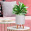 Concrete Effect Cylinder Round Planter on Hardwood Legs, Round Indoor Plant Pot Stand for Indoor Plants, Indoor Flower Pot with Plaited Pattern-703551394-703551395