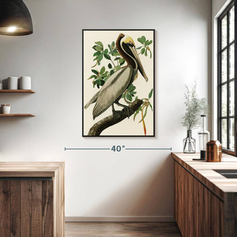 Pélican Audubon, Cadre flottant noir, 27 po x 40 po