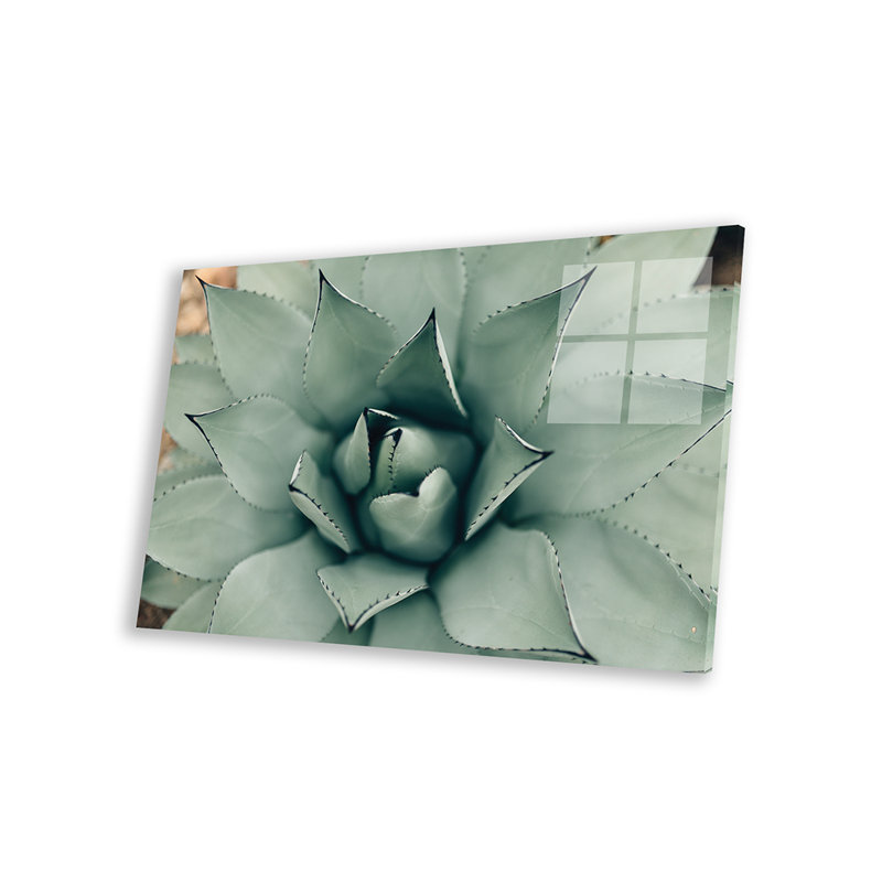 " Mint Succulent I " by Chelsea Victoria, 16" H x 24" W x 0.25" D