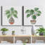 Boho Greenery I - ensemble de 2 peintures-172721872-172721873