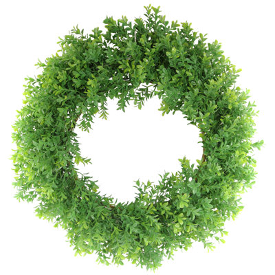 Fresh (Live) Fern 19'' Wreath