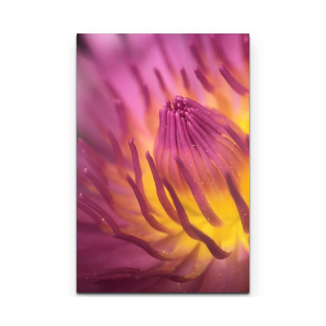 Leinwandbild Lotus Blume