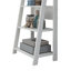 Gardi 175.5cm H x 64cm W Ladder Bookcase-123754584-17613457