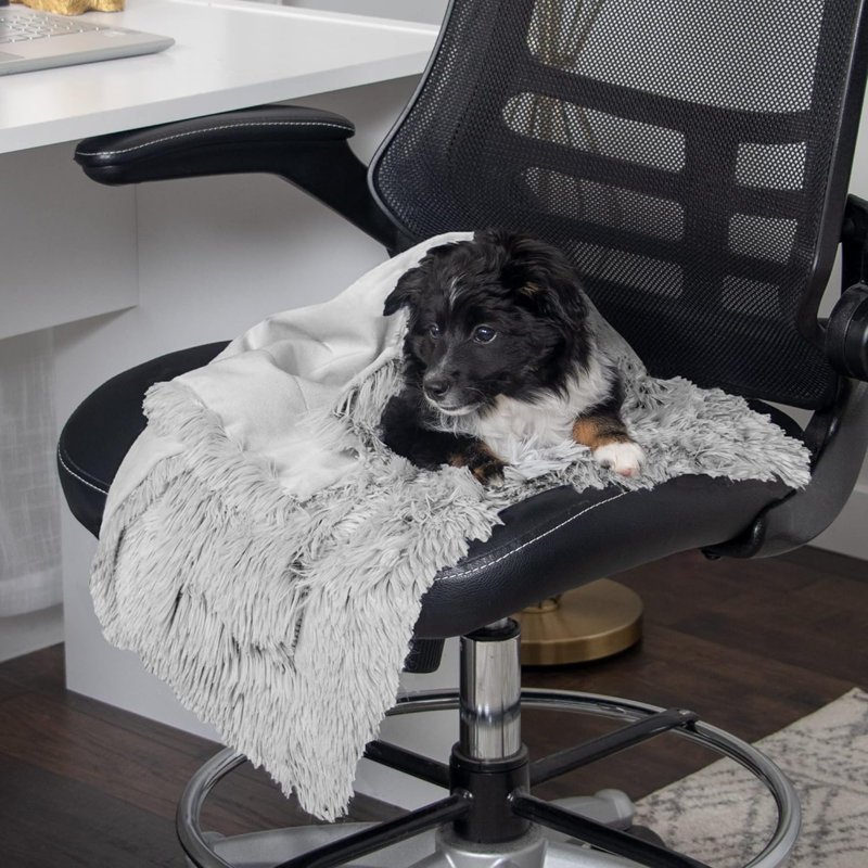Couverture pour animaux, Gris brumeux