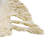 Ivory_Unique Loom Siphon Mesa Rug-249519735
