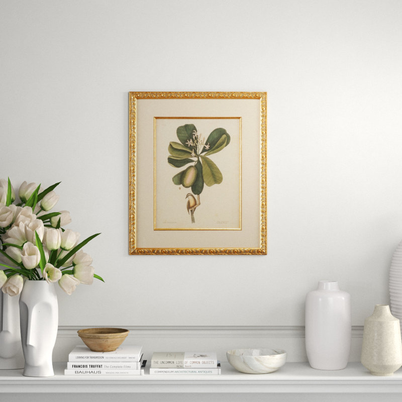 Catesby Bird And Botanical III Print