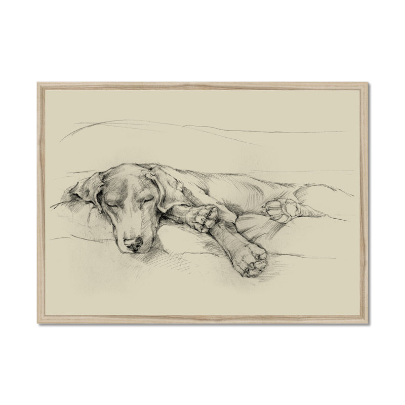 Dog Days II by Ethan Harper - Print, 55cm H x 80cm W, Natural Wood Framed Paper Print