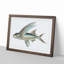 Flying Fish by George Shaw - Picture Frame Painting Print-55621082-55621083