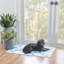 Lavable d'extérieur bleu et ivoire Lakeland 5 po x 7 po-847298260