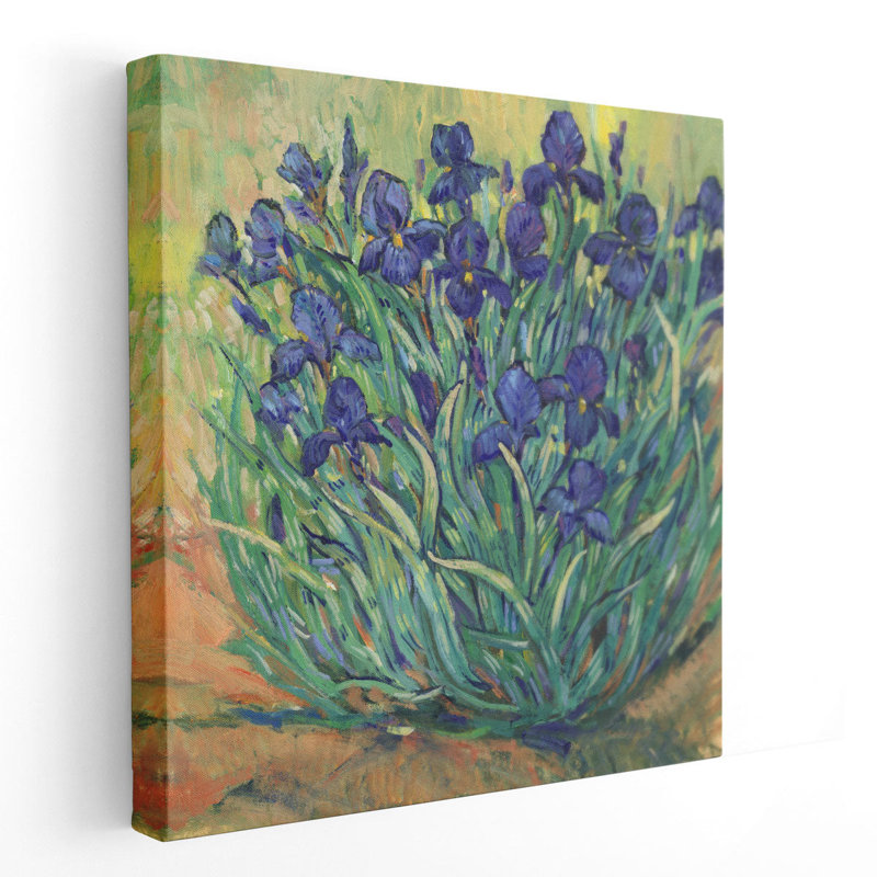 Irises in Bloom I - Canvas Print Wall Art, 12" H x 12" W
