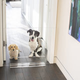 Low Clear Pet Gate Panel