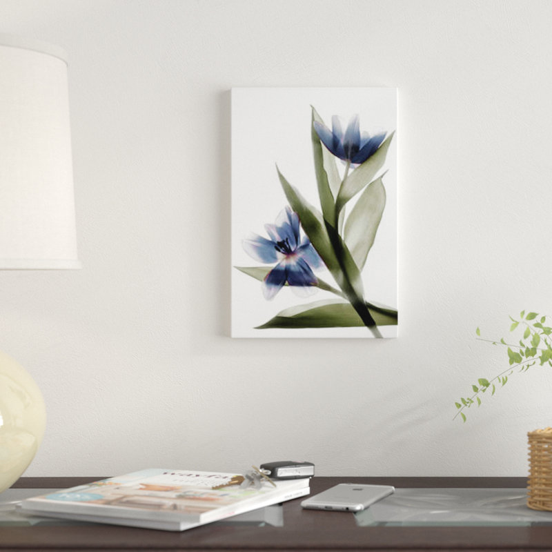 « x-ray tulip vi », reproduction sur toile, H 40 po x l 26 po x P 1,5 po, Toile tendue