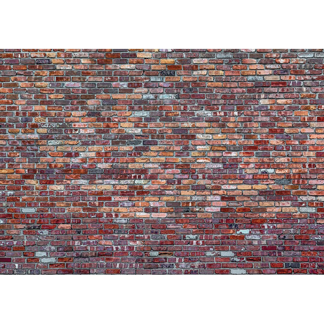 Glatte Fototapete Wall 2,8 m x 368 cm