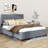 Drevaughn Queen Size Upholstered Platform Bed with Twin XL Trundle and 2 Drawers-1866652706