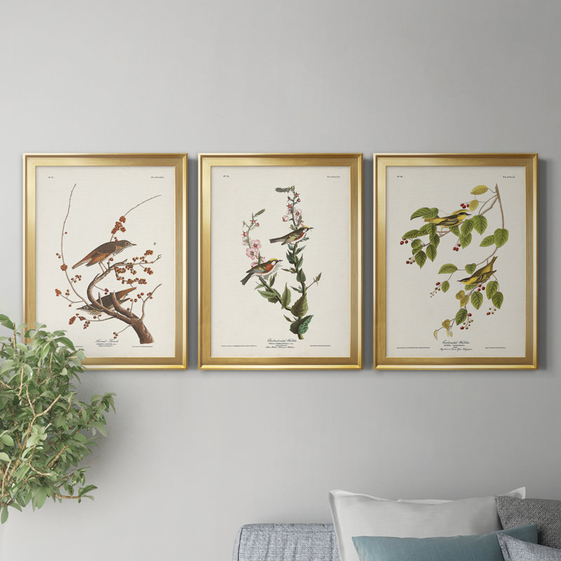 Pl. 58 Hermit Thrush - Ensemble de 3 impressions sur toile encadrées, H 22,5 po x l 91,5 po x P 1,5 po, Doré