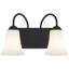 2 - Light Vanity Light