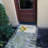 Devorah Non-Slip Floral Outdoor Doormat