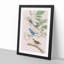 Indigo Birds by John Audubon - Picture Frame Painting Print-55576399-55576400