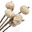 23.5" Pumpkin Pod Twig Stem for Holiday Decor