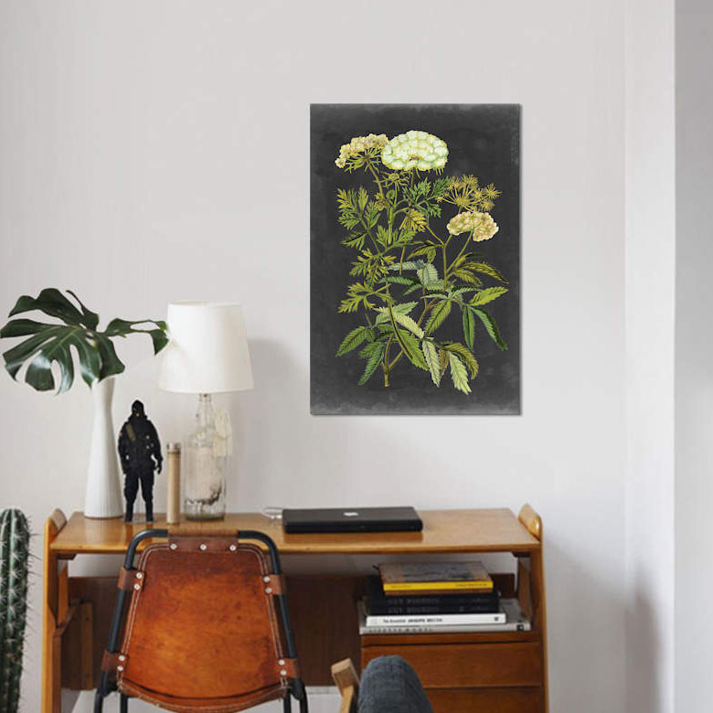 « bookplate floral i », impression sur toile, H 18 po x l 12 po x P 1,5 po, Toile tendue, Pas de tapis