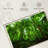 Alvord Basse-Terre Jungle-111834863
