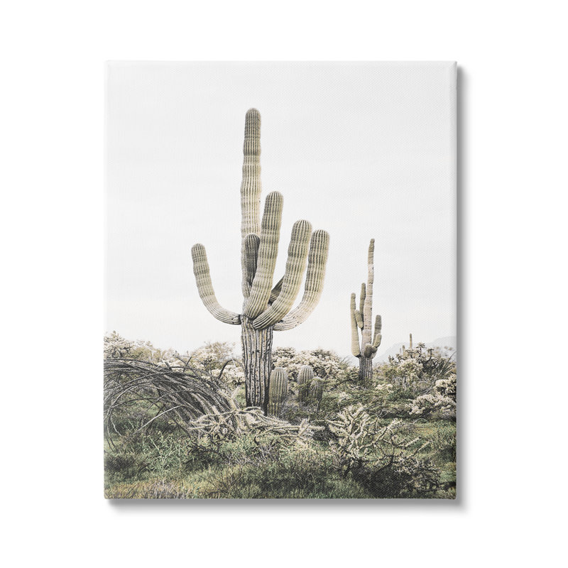«Stupell Industries Desert Landscape Cacti», art mural sur toile par Sissi et Seb, H 40 po x l 30 po x P 1,5 po