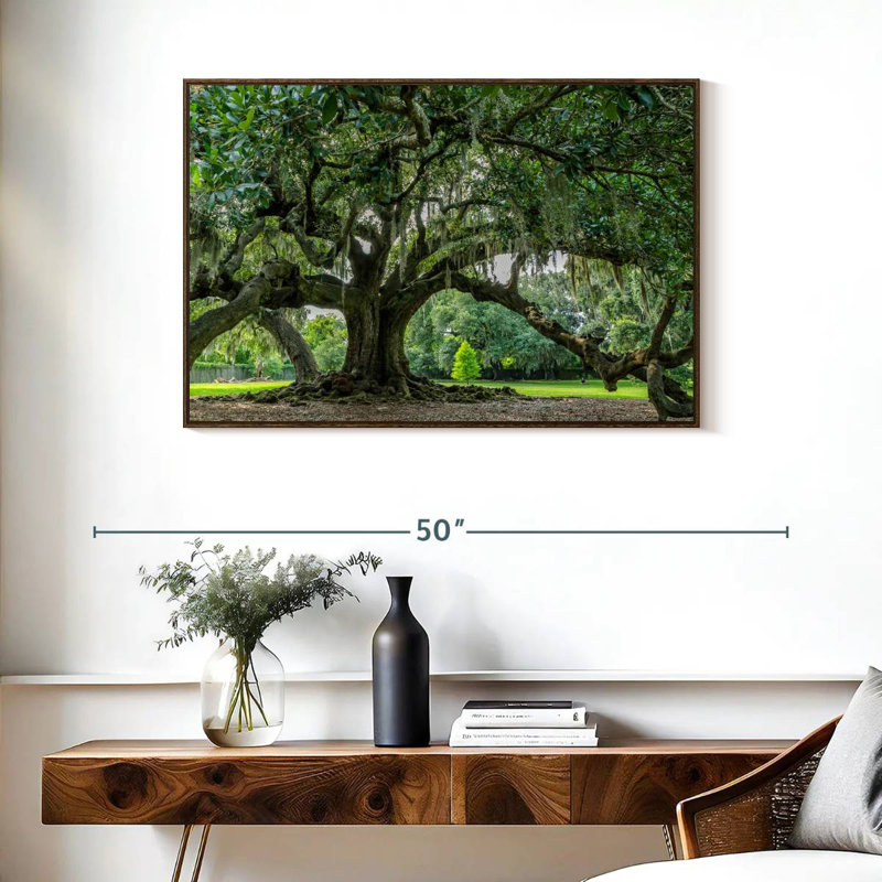 Audubon Park Oak Tree, 37" X 25", Floating Frame Walnut