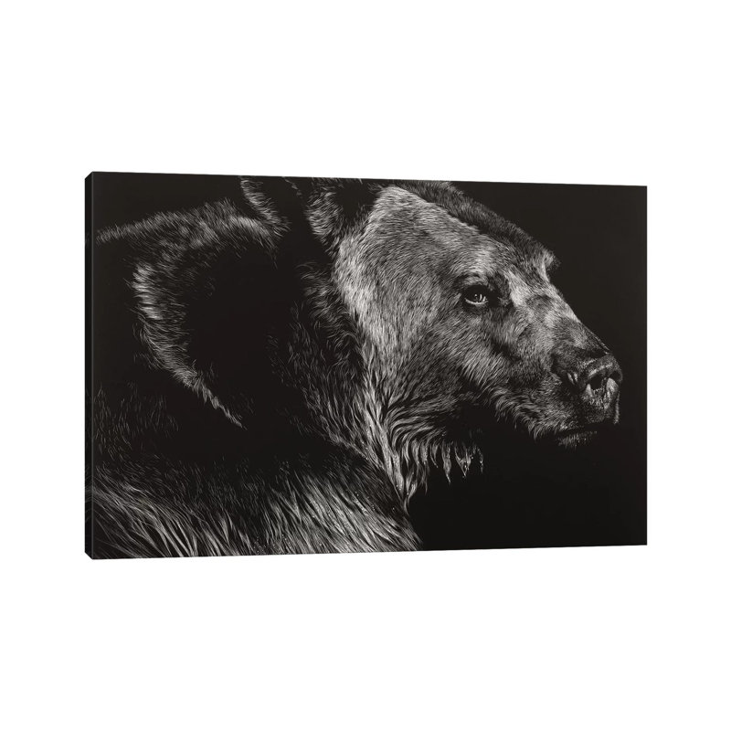 Wild Scratchboard by Julie T. Chapman - Wrapped Canvas Gallery-Wrapped Canvas Giclée, 30.48cm H x 45.72cm W