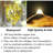 12 Pack Fairy Lights Battery Operated String Lights 20LED Waterproof  Wire Christmas Lights Outdoor,Firefly Mini Lights For Bedroom Party Birthday Wedding Indoor Decorations-302501046