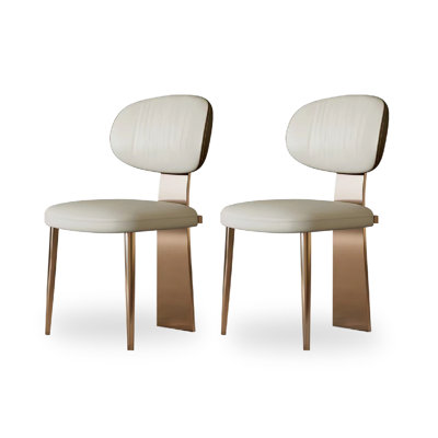 Modern And Simple Stainless Steel Backrest Chair