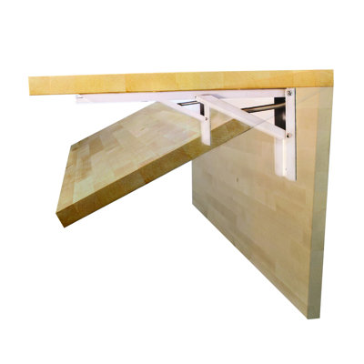 Ced 48'' W Solid Wood Top Height-Adjustable Workbench