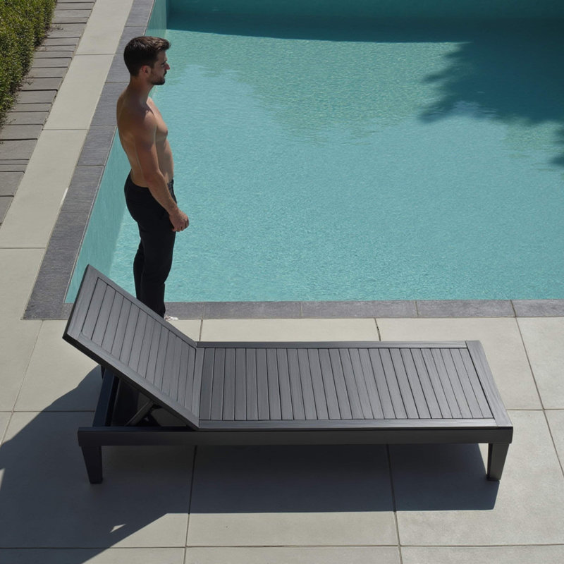 Nestl Black Adjustable Polyresin Outdoor Chaise Lounge Set