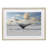 Antarctica Whale Tail Framed Print Under Glass, design by Richard Silver-1374642860-1374642861