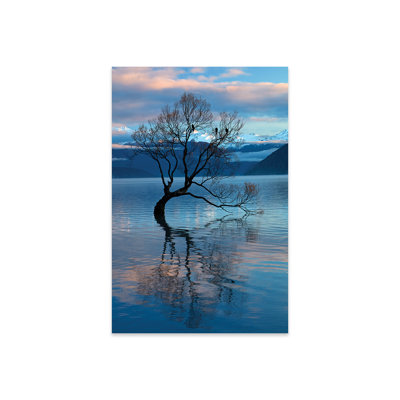 Hariyah That Wanaka Tree Reflection In Lake Wanaka, Otago, South Island, Nouvelle-Zélande, sur plastique / acrylique par David, impression